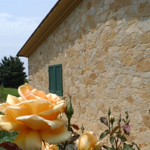 rivestimento pietra di bari
