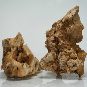 pietra bucherellata