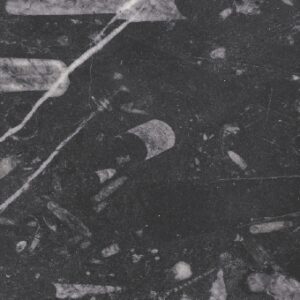 marmo fossil black