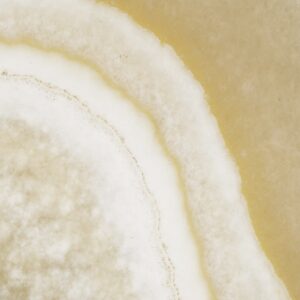 Yellow Onyx